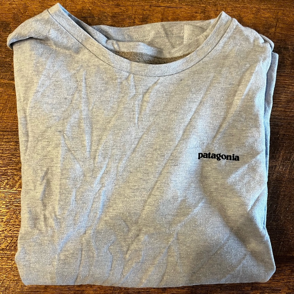 Patagonia t shirt
